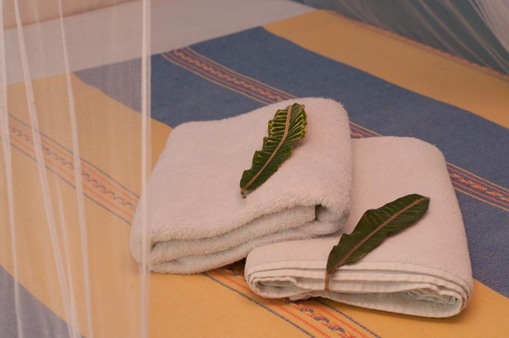 My Tulum Cabanas Room photo